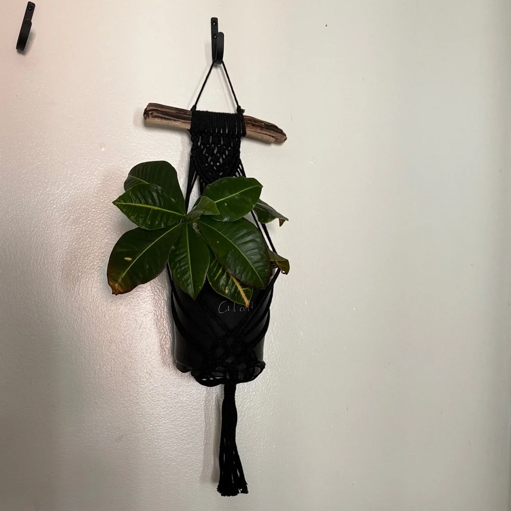 Neutral Cream Macramé Plant Hanger - Boho Wall Plant Holder